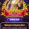 Rummy Meet